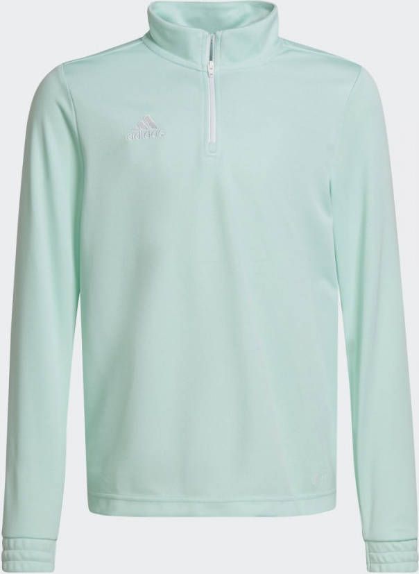 Adidas Kids adidas Entrada 22 Trainingstrui Kids Mintgroen Wit