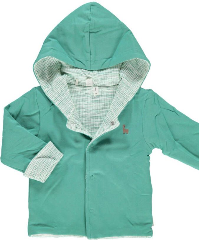 Bess ! Jongens Vest -- Groen Katoen/elasthan