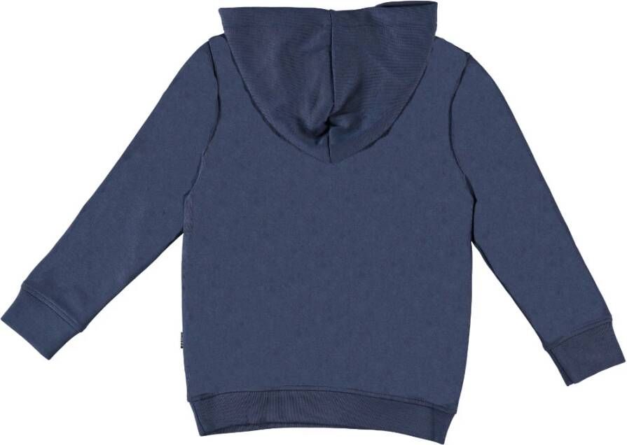 Cars Sweatshirt kids mynner sw indig