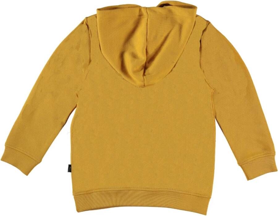 Cars jongens hoodie 30496 geel