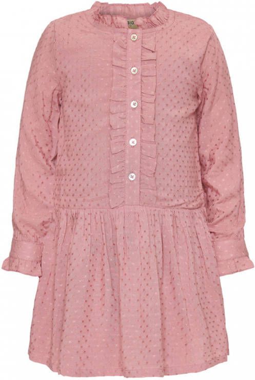 LE BIG Jurk DR00251 Paars