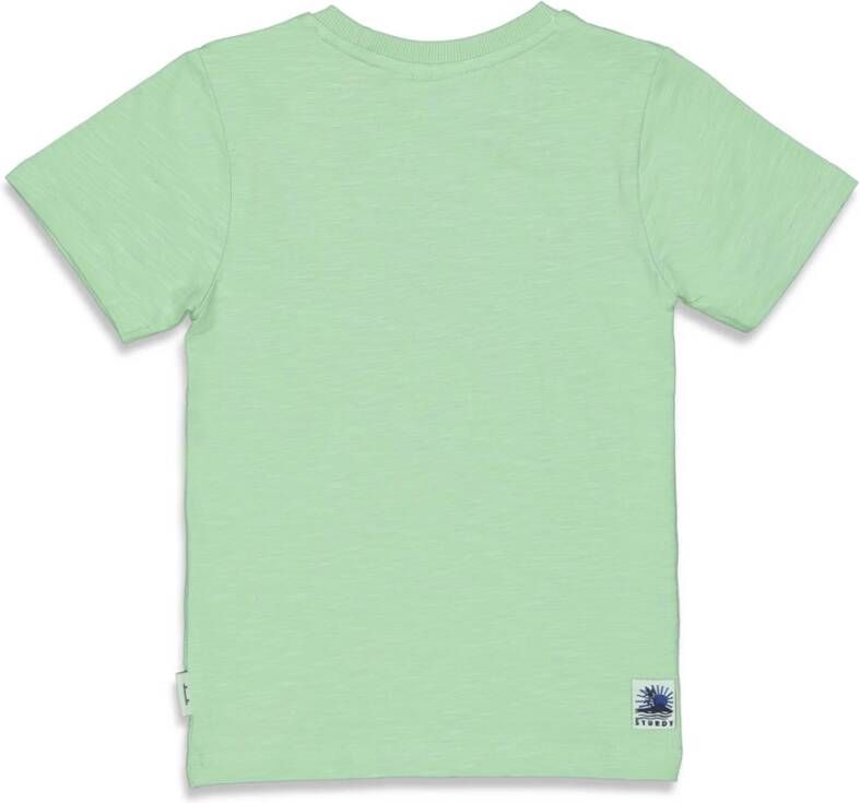 Sturdy ! Jongens Shirt Korte Mouw -- Mint Katoen/elasthan