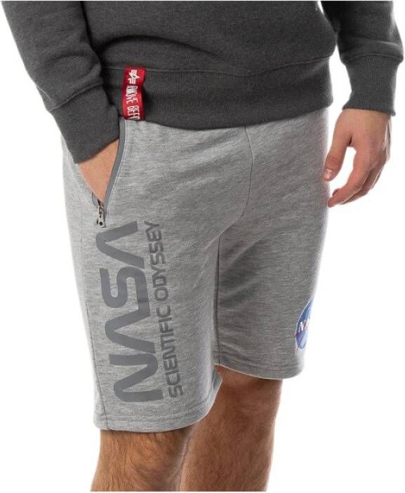alpha industries Shorts oddysey 126336 17 s , Grijs, Heren