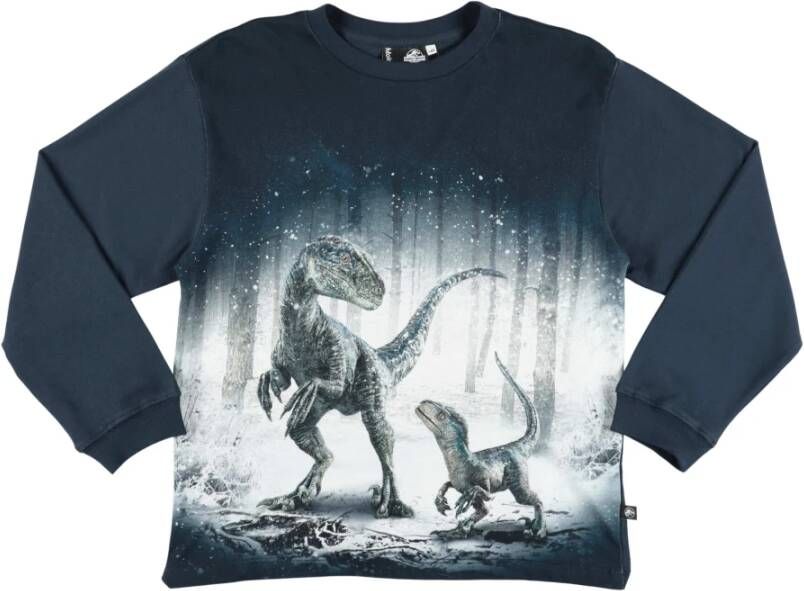 Molo t shirt Rube blu in cotone organico|Rube blue organic cotton t shirt , Blauw, Heren