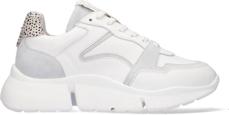 Maruti Cody Sneakers , Wit, Dames