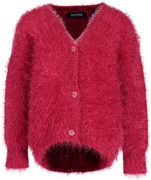 BLUE SEVEN Girl s V hals van V hals van het Babyvestje