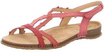 El Naturalista Sandalen
