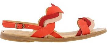 El Naturalista Sandalen 251881200005