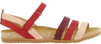 El Naturalista Sandalen 2524415N0005