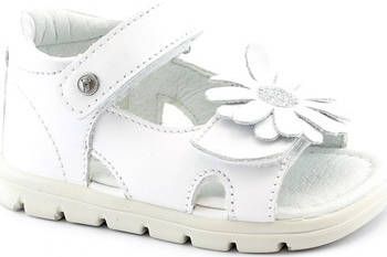 naturino Sandalen FAL E21 500887 WH