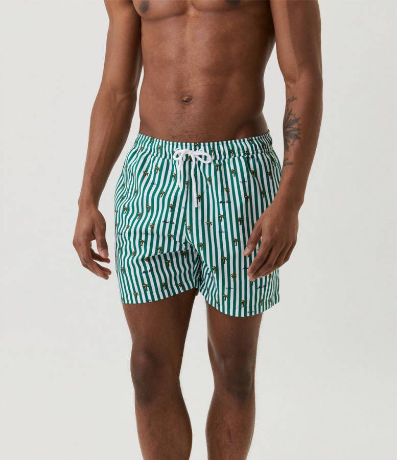 Bjorn Borg Zwembroeken Borg Print Swim Shorts Groen