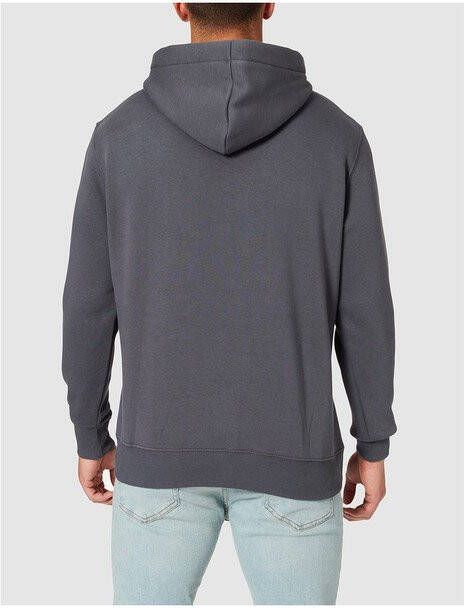 alpha industries Hoodies & sweatvesten Grijs Heren