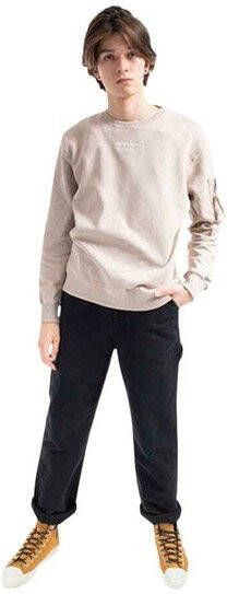 alpha industries Heren Sweatshirt Organics Emb Sweater 118316 627 m , Beige, Heren