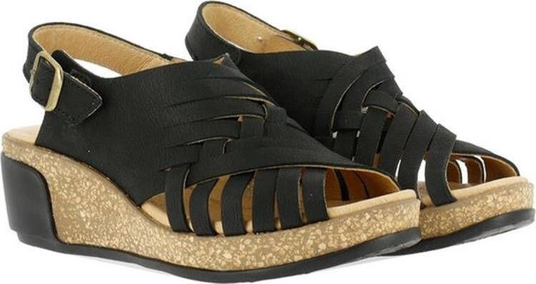 El naturalista n5018