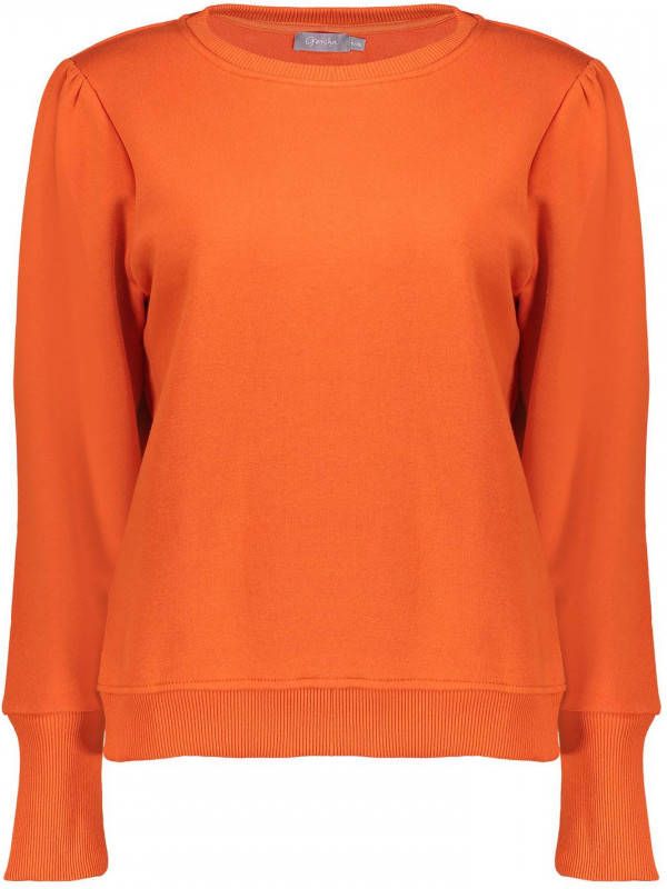 Geisha 22553 24 sweat