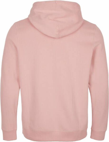 O'Neill kelp hoodie sweatshirt