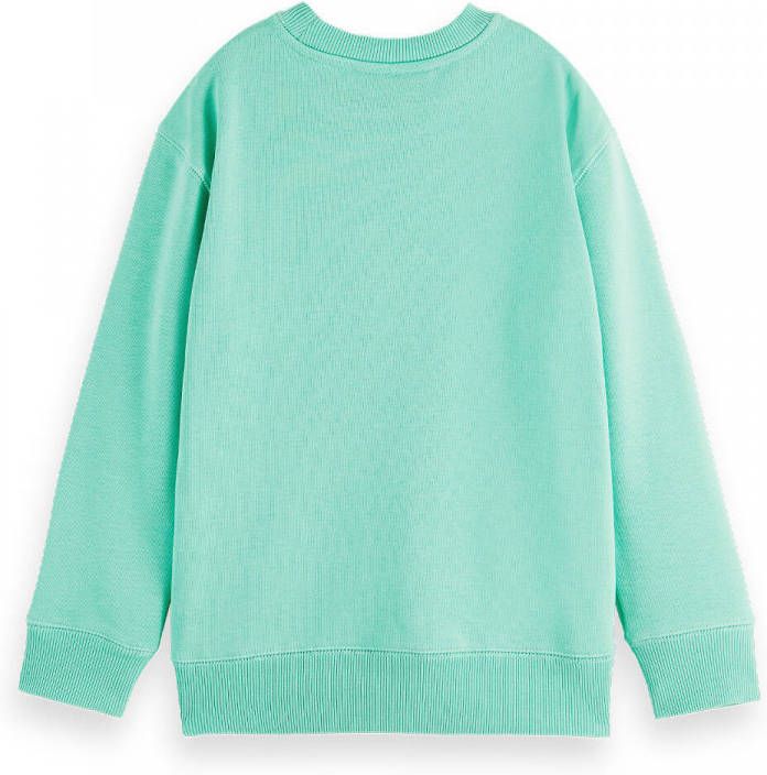 Scotch & Soda Graphic seasonal fit sweater