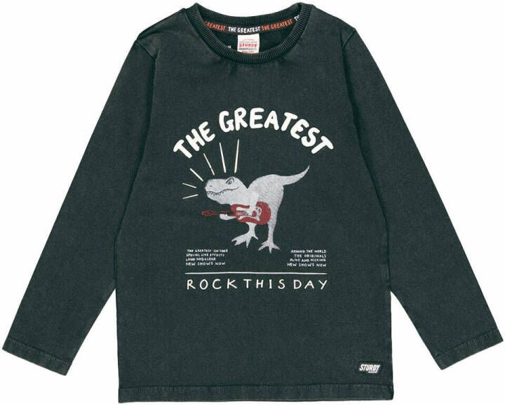 Sturdy T shirt lange mouw 71600484