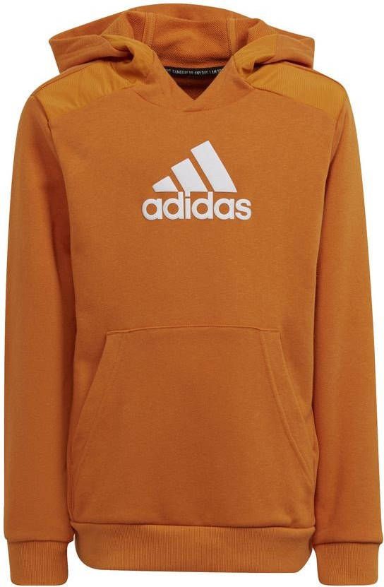 Adidas Badge Of Sports Sweater Met Capuchon Jongens