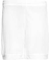 adidas Shorts Squadra 17 Wit Kinderen