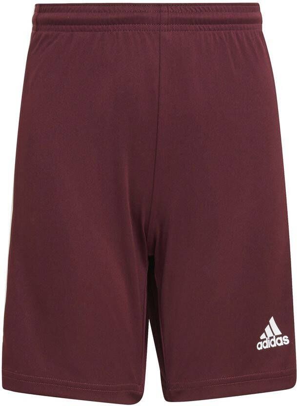 adidas Shorts Squadra 21 Bordeaux/Wit Kinderen