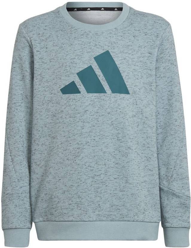 adidas Sweatshirt Future Icons 3 Stripes Grijs Kinderen