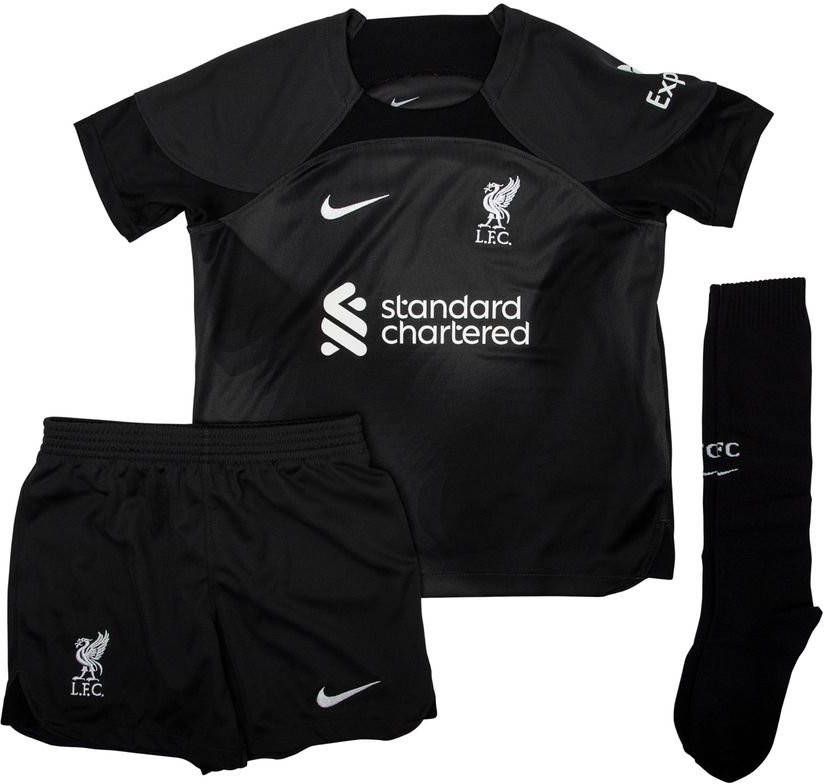 Nike Liverpool FC 2022/23 Goalkeeper Voetbaltenue voor kleuters Grijs
