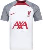 Nike Liverpool Trainingsshirt Dri FIT Strike Wit/Grijs/Rood Kinderen online kopen