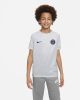 Nike Paris Saint Germain Trainingsshirt Dri FIT Pre Match Grijs/Navy Kinderen online kopen
