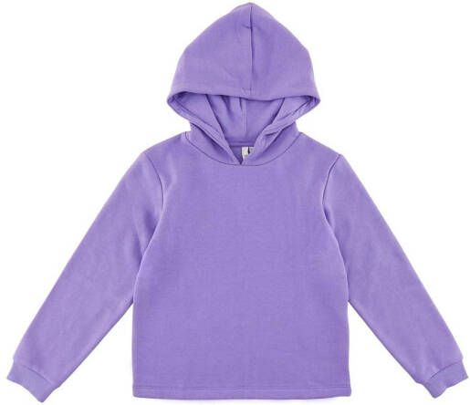 LITTLE PIECES hoodie LPCHILLI lila