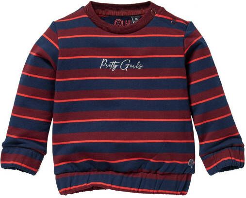 Quapi Mini gestreepte sweater Liselot donkerblauw/rood